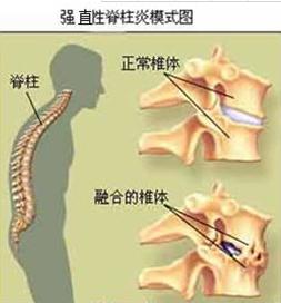 图片24.jpg